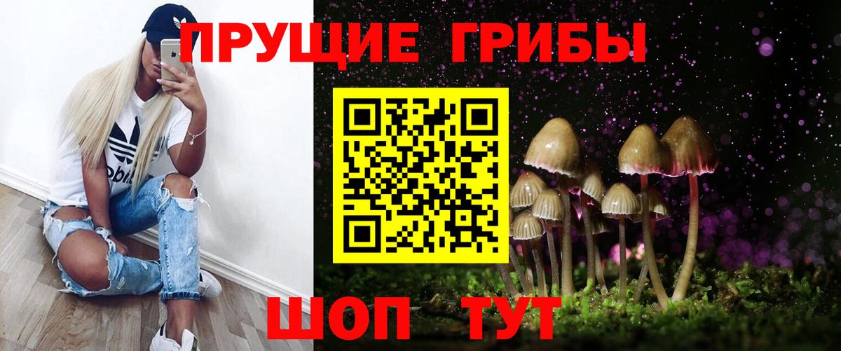 Псилоцибиновые грибы Cubensis  Вход с VPN  Борисоглебск 